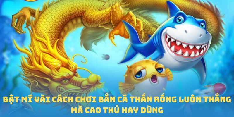 Bật mí vài cách chơi Bắn cá Thần Rồng luôn thắng mà cao thủ hay dùng