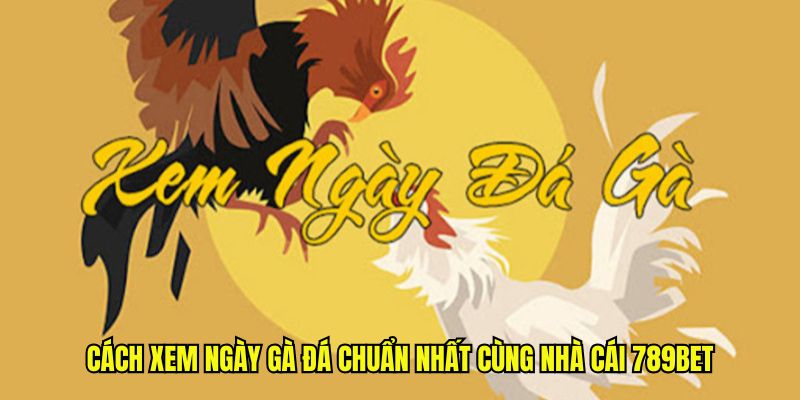 cách xem ngày đá gà