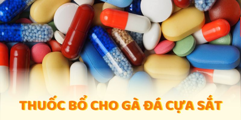 thuốc bổ cho gà đá cựa sắt